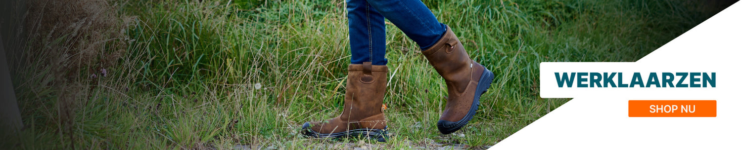 Werklaarzen
